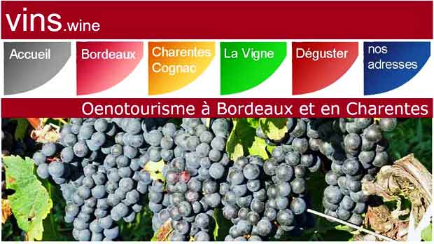 oenotourisme bordeaux charentes