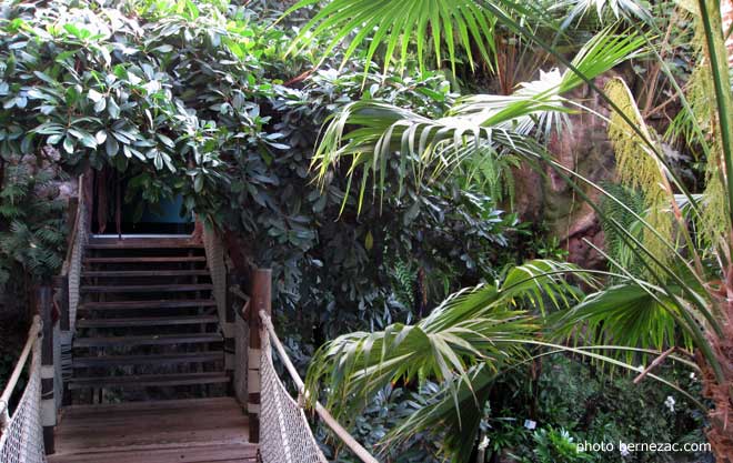 la Serre Tropiczle de l'aquarium de La Rochelle