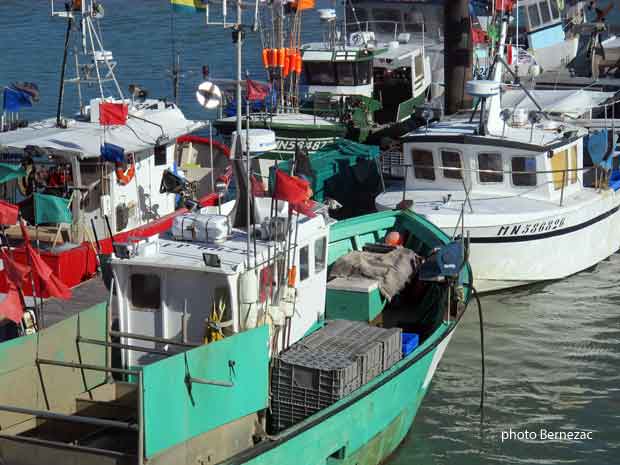 Royan, bateaux de pêche dans le port