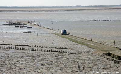 La mytiliculture et les moules de bouchots