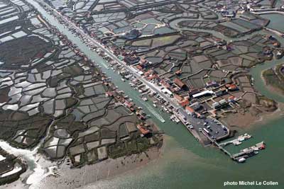 ostreiculture de Charente-maritime