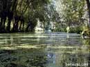 Marais Poitevin