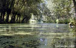 marais poitevin