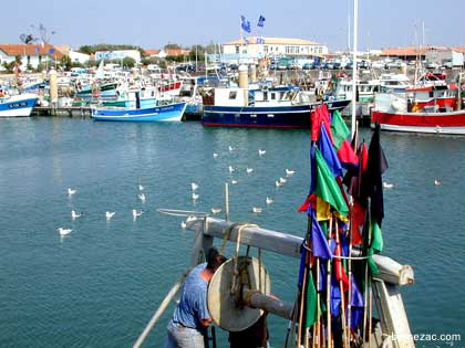 Ile d'Olron, le port de La Cotinire