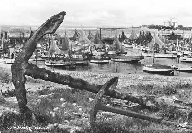 île d'Oléron, le port de La Cotinnière en 1960