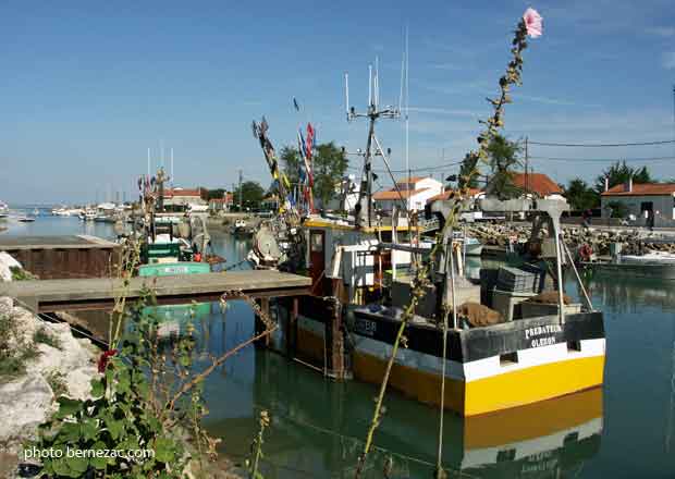 Boyardville, bateau de pêche et roses trémières