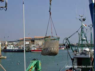 La Cotinière, île d'Oléron, années 2000