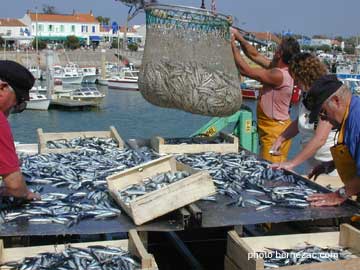 La Cotinière, île d'Oléron, années 2000