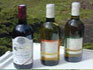 vignoble des Charentes