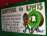 confiture de kiwis