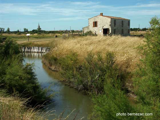 Moulin des Loges, marais