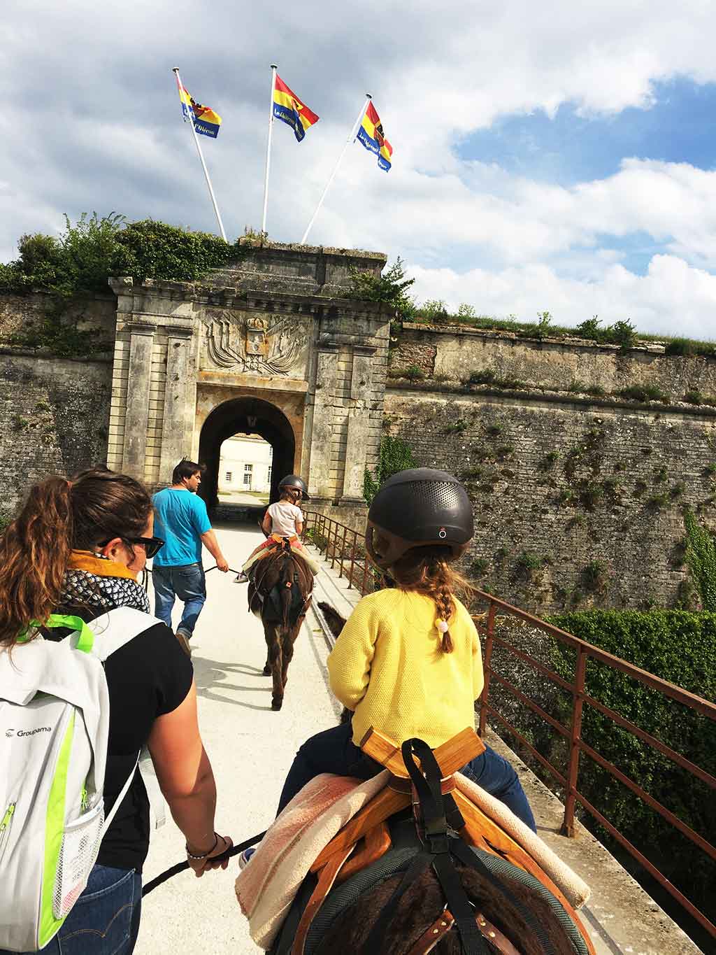 les ânes de la citadelle du Château d'Oléron