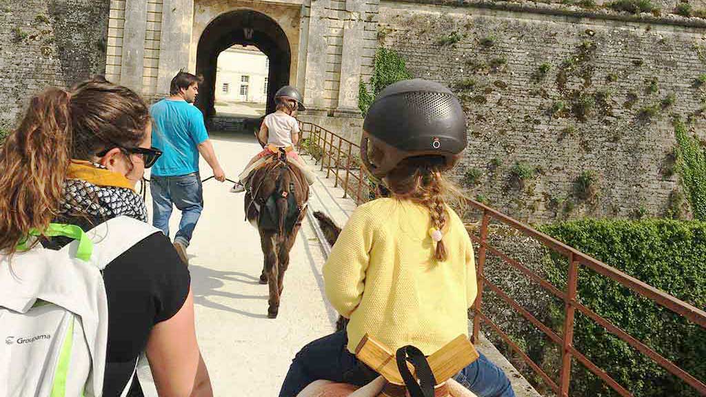 les ânes de la citadelle du Château d'Oléron