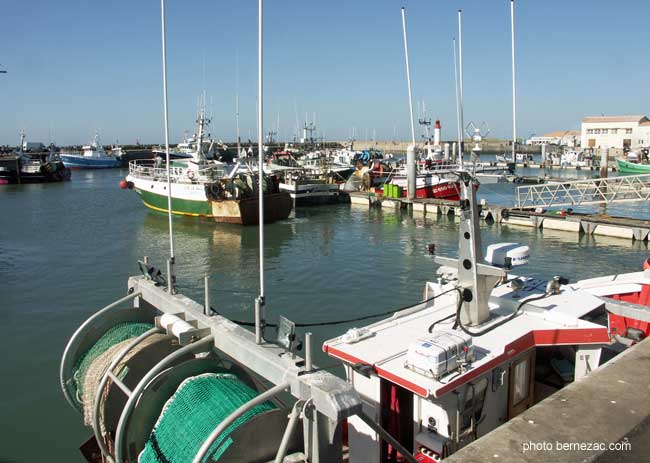 Oléron, port de La Cotinière