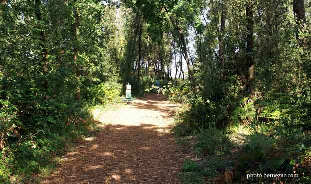 St-Georges-de-Didonne, le sentier de la découverte du parc de l'estuaire