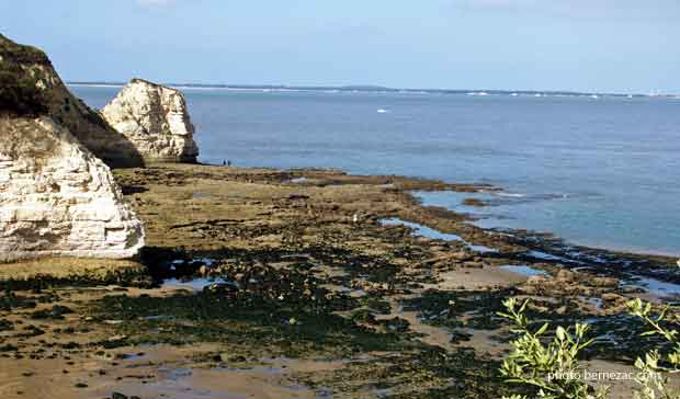 St-Georges-de-Didonne, falaises de Suzac