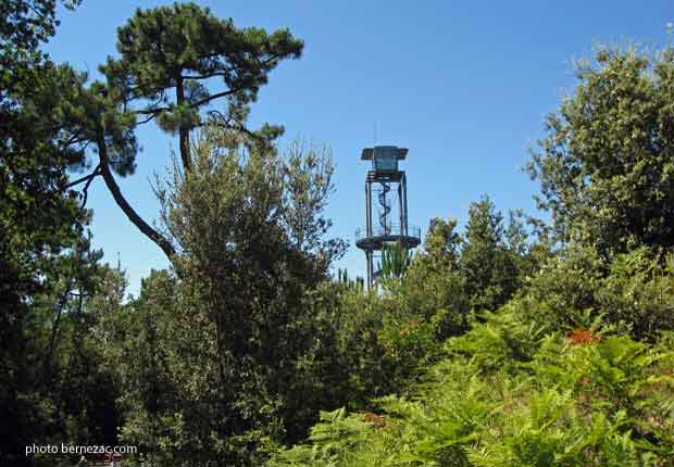 St-Georges-de-Didonne, la végétation du parc de l'estuaire