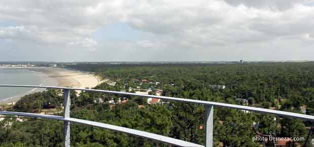vue sur la forêt de Suzac depuis la passerelle de la tour de guet