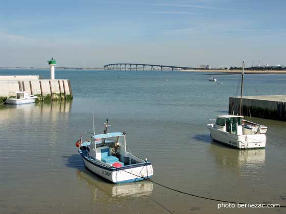 île de Ré, le port de Rivedoux