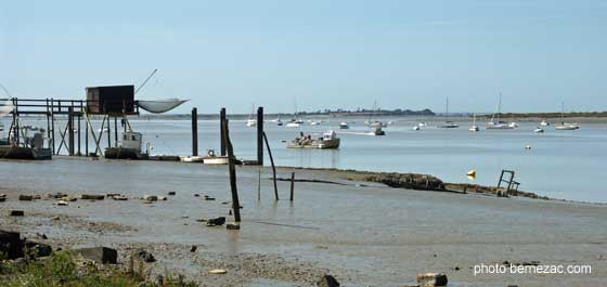 Saint-Nazaire-sur-Charente, la Charente vers l'aval