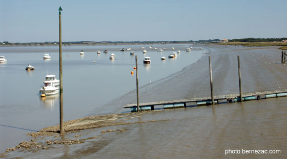 Saint-Nazaire-sur-Charente, la Charente vers l'amont