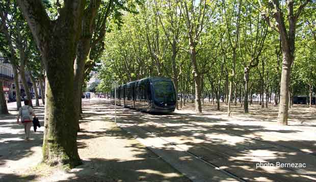 Bordeaux, les Quinconces