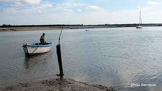 La Seudre à Chatressac, marée basse