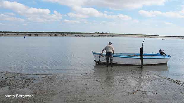 La Seudre à Chatressac, marée basse