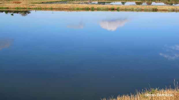 Chaillevette, paysage de claires