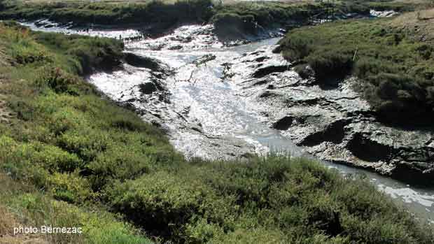 Chaillevette, marais ostréicoles