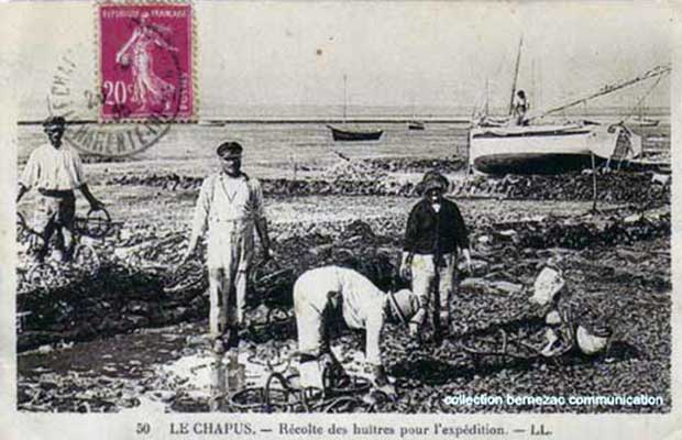 Oléron carte postale ancienne