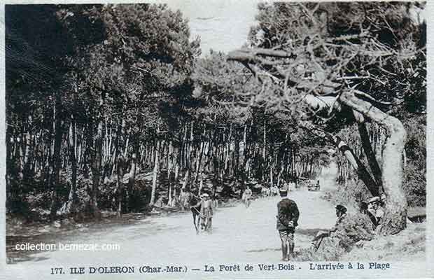 Oléron carte postale ancienne