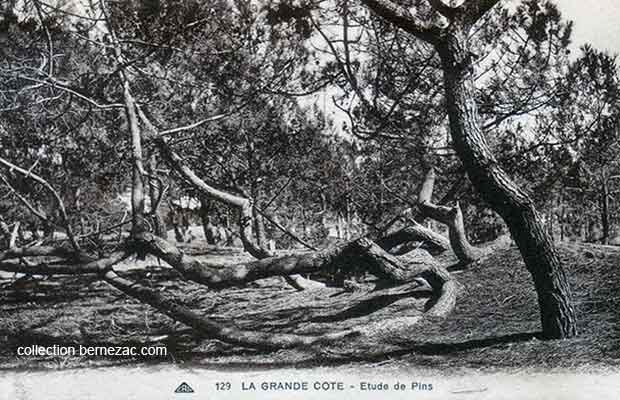 st-palais-sur-mer carte postale ancienne