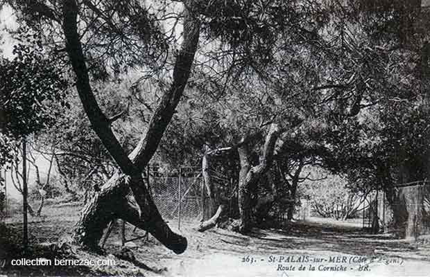 st-palais-sur-mer carte postale ancienne