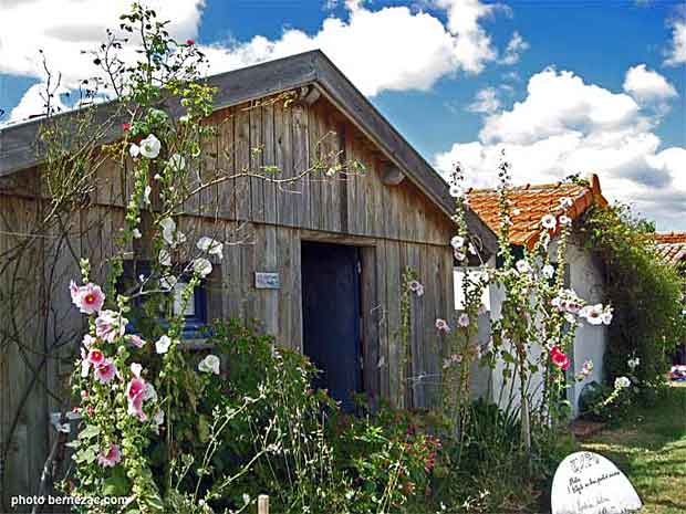 L'Eguille-sur-Seudre, cabanes et roses trémières