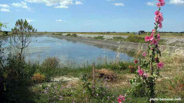 L'Eguille-sur-Seudre, paysage de "claires"