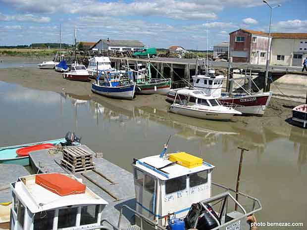 L'Eguille-sur-Seudre, le port, pêche et ostréiculture