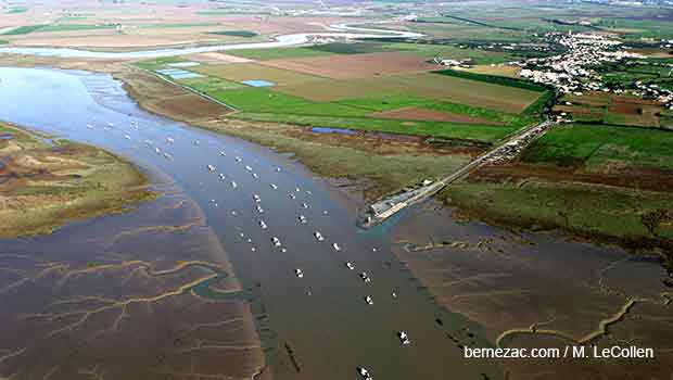 vue aerienne, la sèvre niortaise