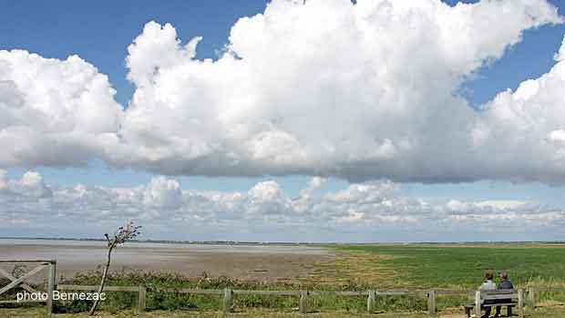 Esnandes, la baie de l'Aiguillon à marée basse