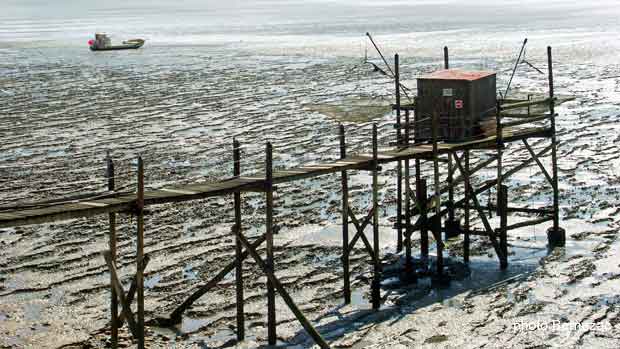 Esnandes, la baie de l'Aiguillon, carrelet