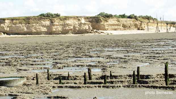 Esnandes, la baie de l'Aiguillon, carrelet et falaise à marée basse