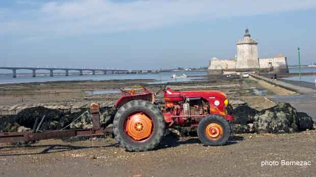 tracteur dans les parcs à huîtres