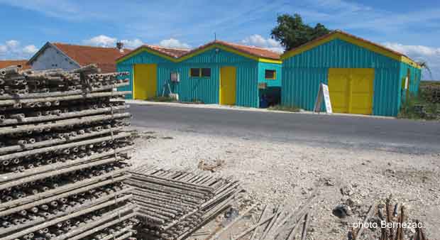 Marennes La-Cayenne, collecteurs et cabanes