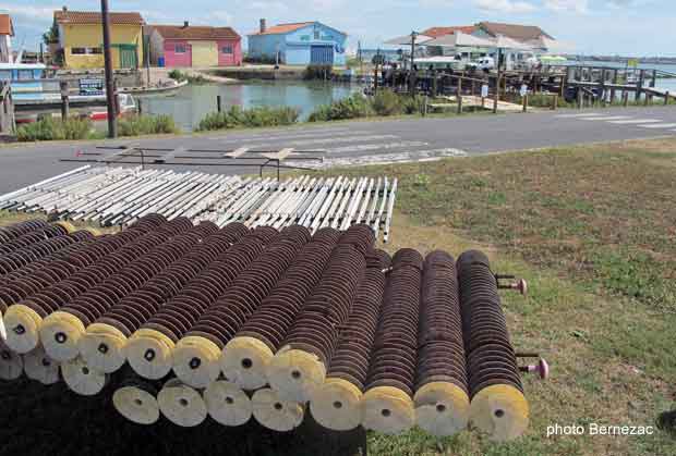 ostréiculture, collecteurs sur le port de Marennes La-Cayenne