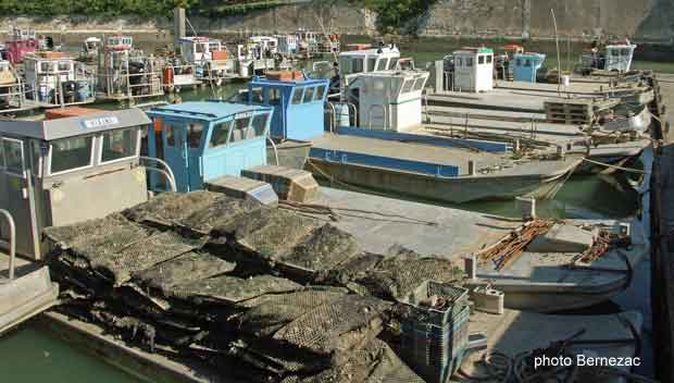 chalands ostréicoles dans le port du Château d'Oléron