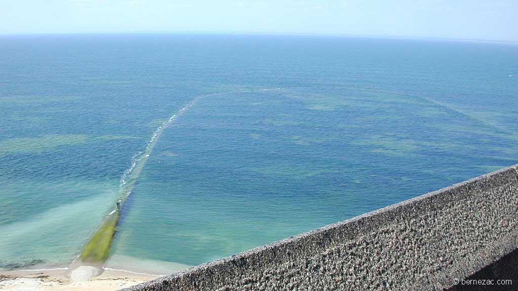 Le phare des Baleines