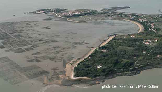 Ile d'Aix, l'anse du Saillan, côte est, marée basse