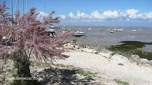 Fouras, port nord