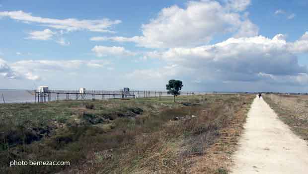 Rives de Gironde, cheminement en bord d'estuaire