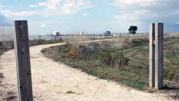 Rives de Gironde, cheminement en bord d'estuaire, Port Conac